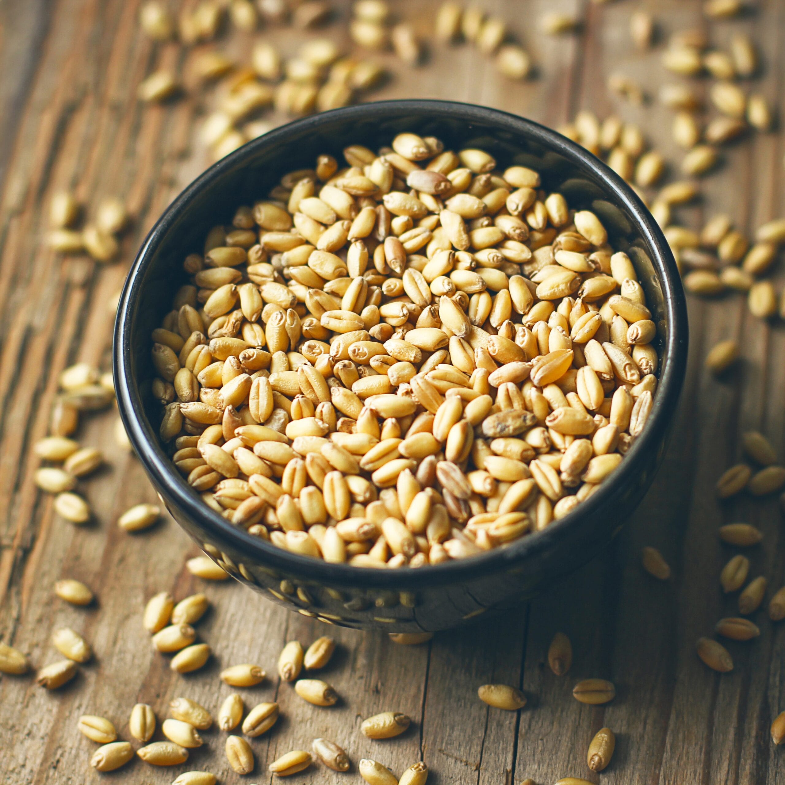 Premium Organic Sharbati Wheat Atta – For Soft, Fluffy Rotis 1