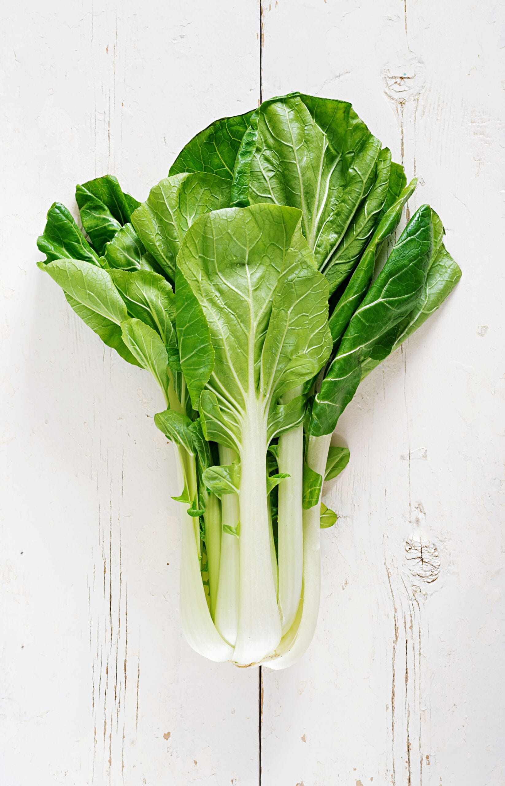 chinese-cabbage-white-wooden-table-tejas-organics