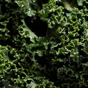 Kale Leaves
