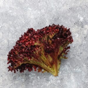 Organic Red Lettuce Leaf | Red Romaine Leaf Lettuce