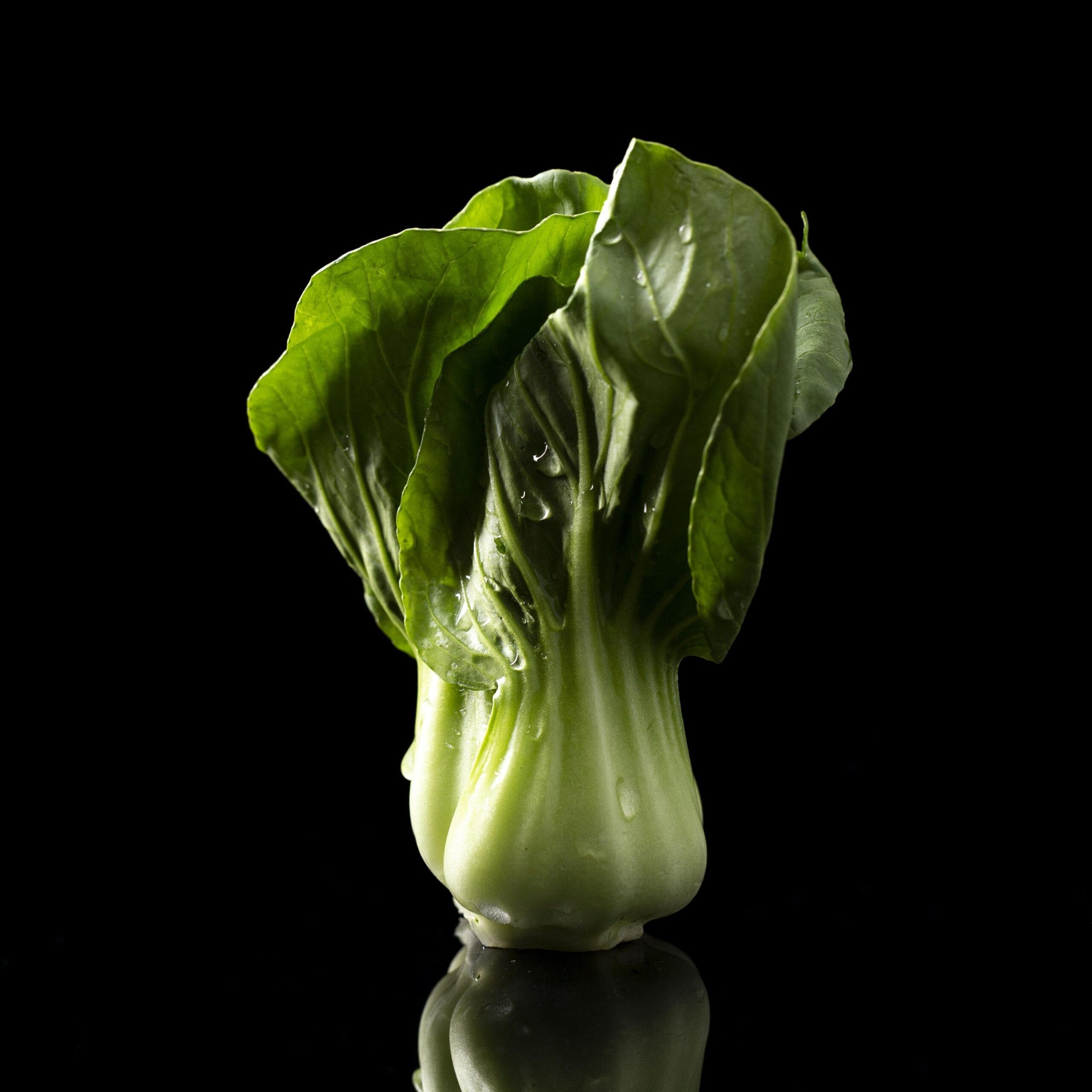 Farm-Fresh Bok Choy Leaves Online