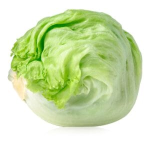 Iceberg Lettuce for Salads​