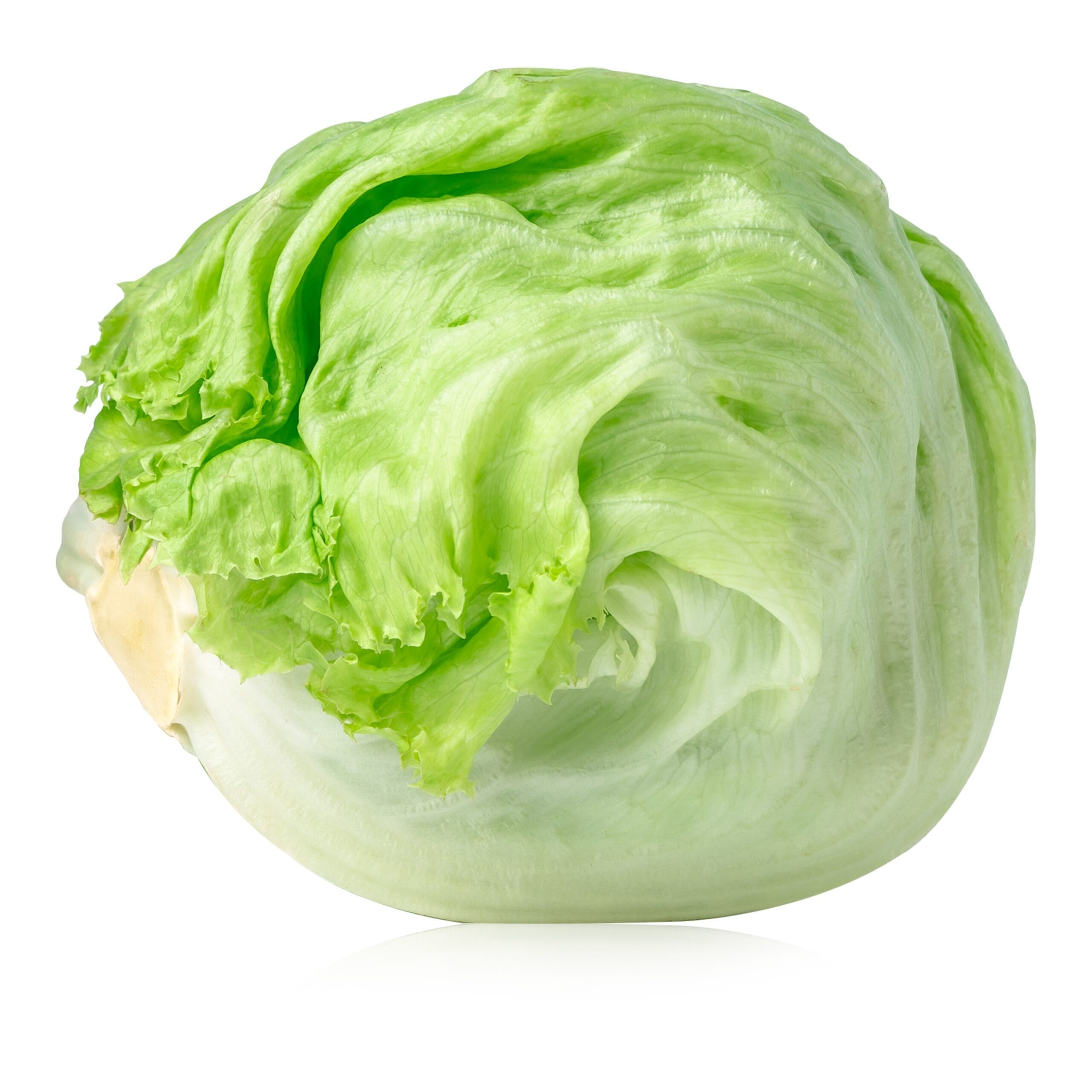Iceberg Lettuce for Salads​