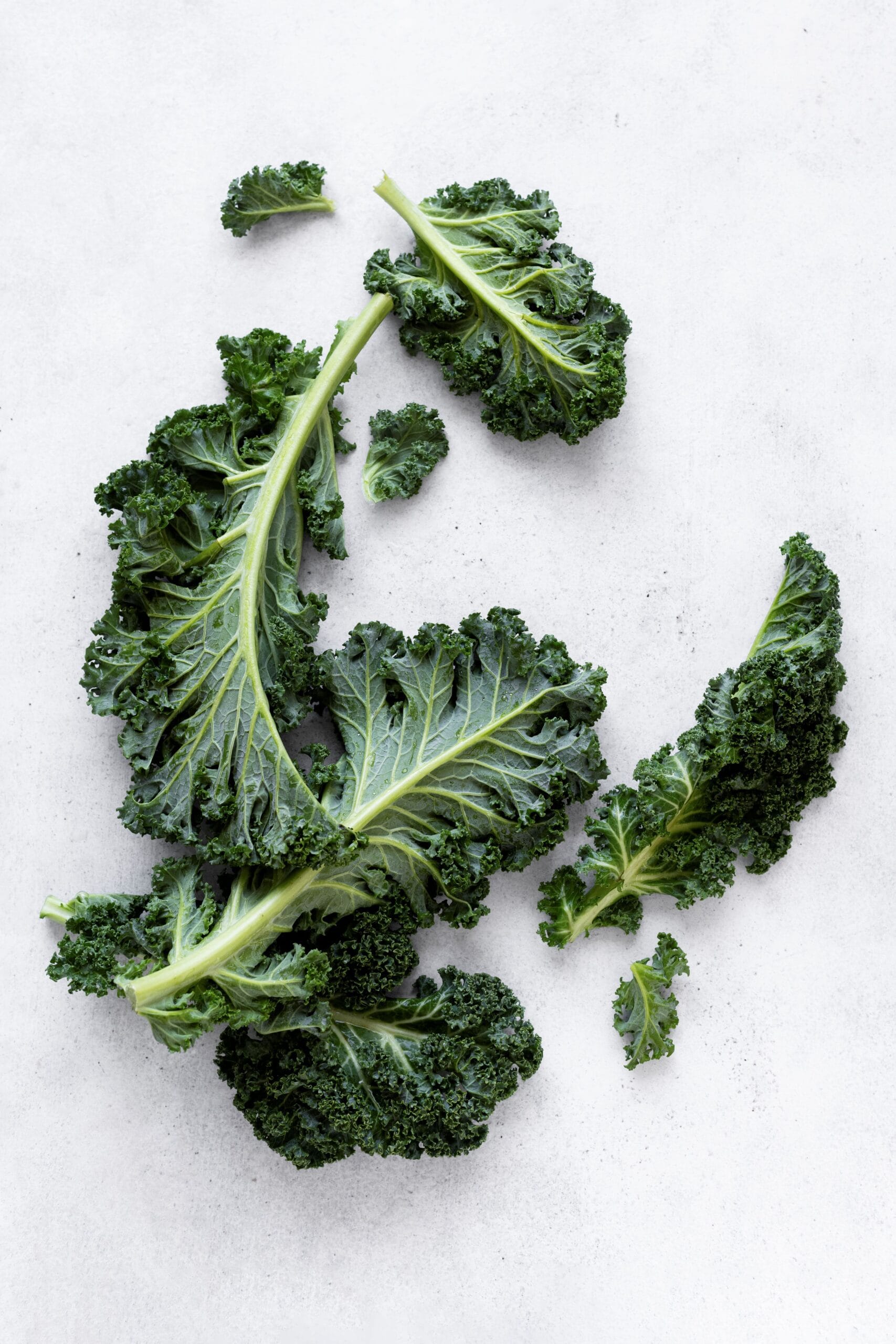 kale-leaves-flat-lay-food-photography1 (2)