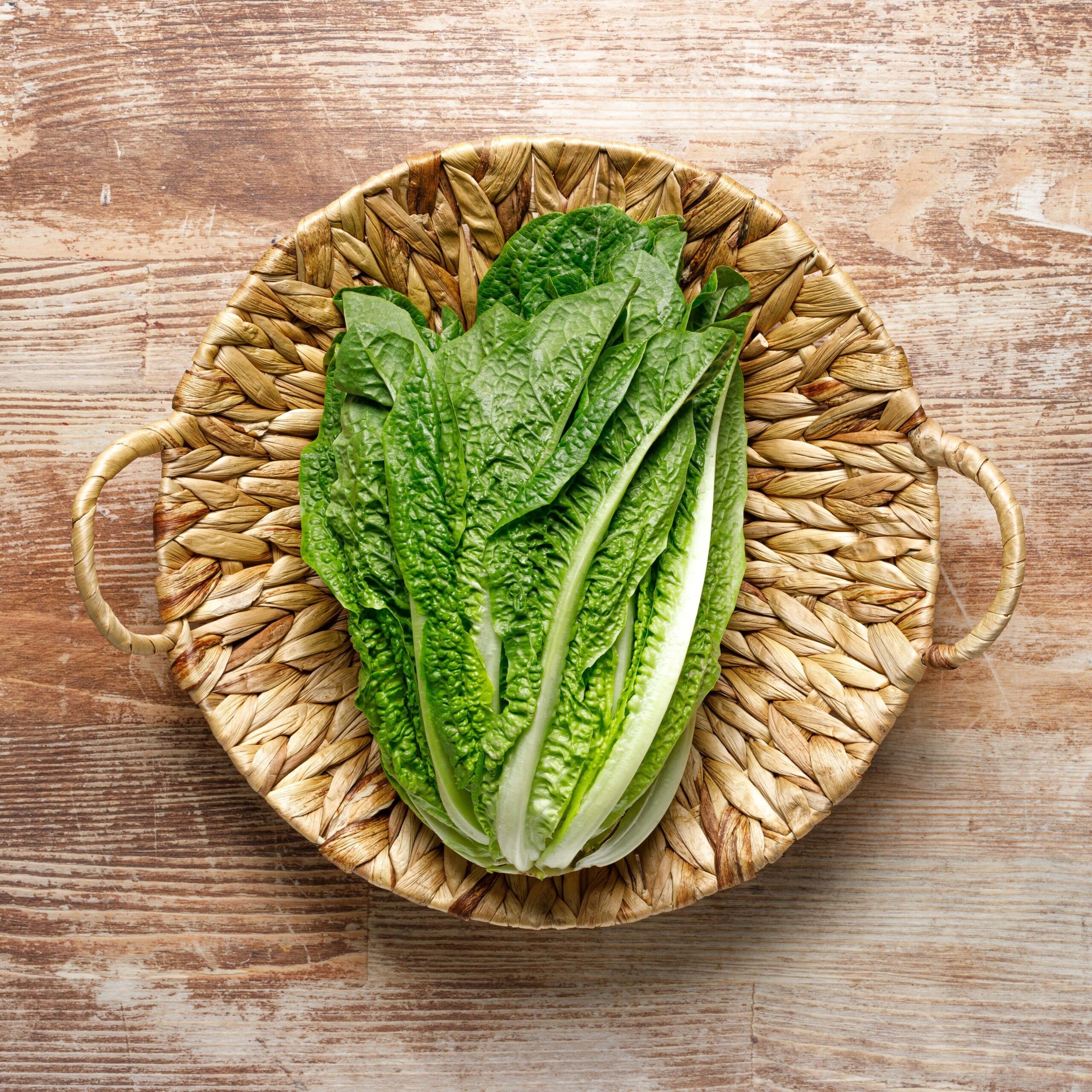 romaine-lettuce-in-a-basket-top-down-view