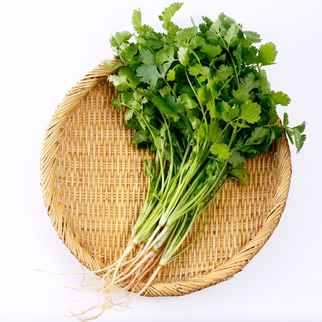 Fresh Dhania Leaves | Fresh Coriander Leaves