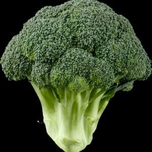 Farm-Fresh Organic Broccoli