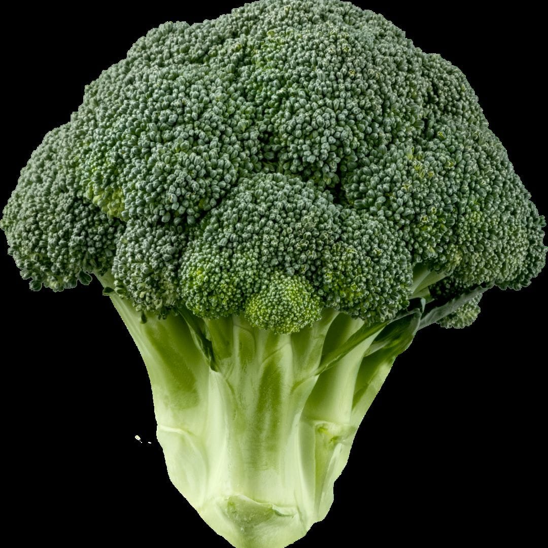 Farm-Fresh Organic Broccoli