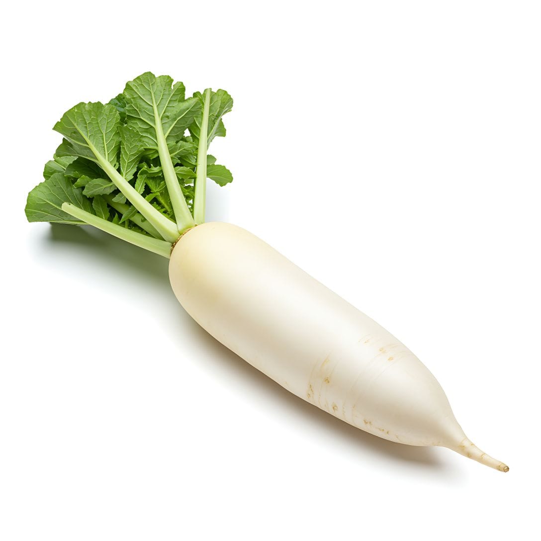 Radish (Muli) Vegetable | Mooli 1