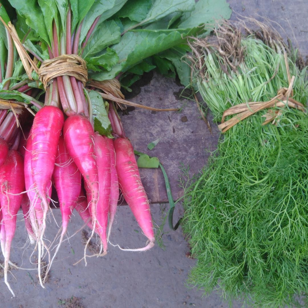 Organic Red Radish | Red Mooli​